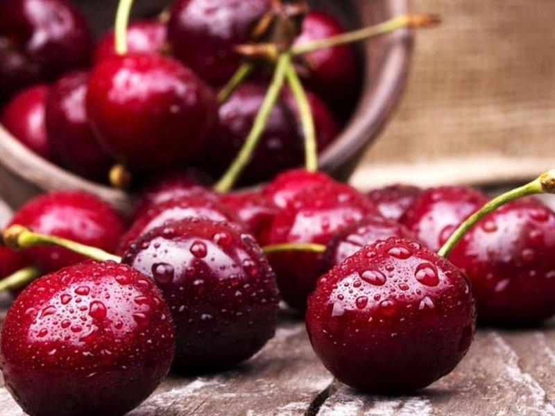 Вишня купить саженцы из питомника в Южно-Сахалинске